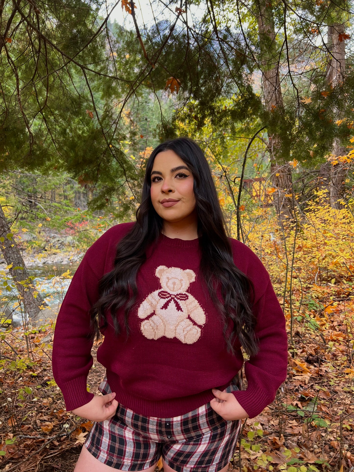 Teddy Graham Sweater