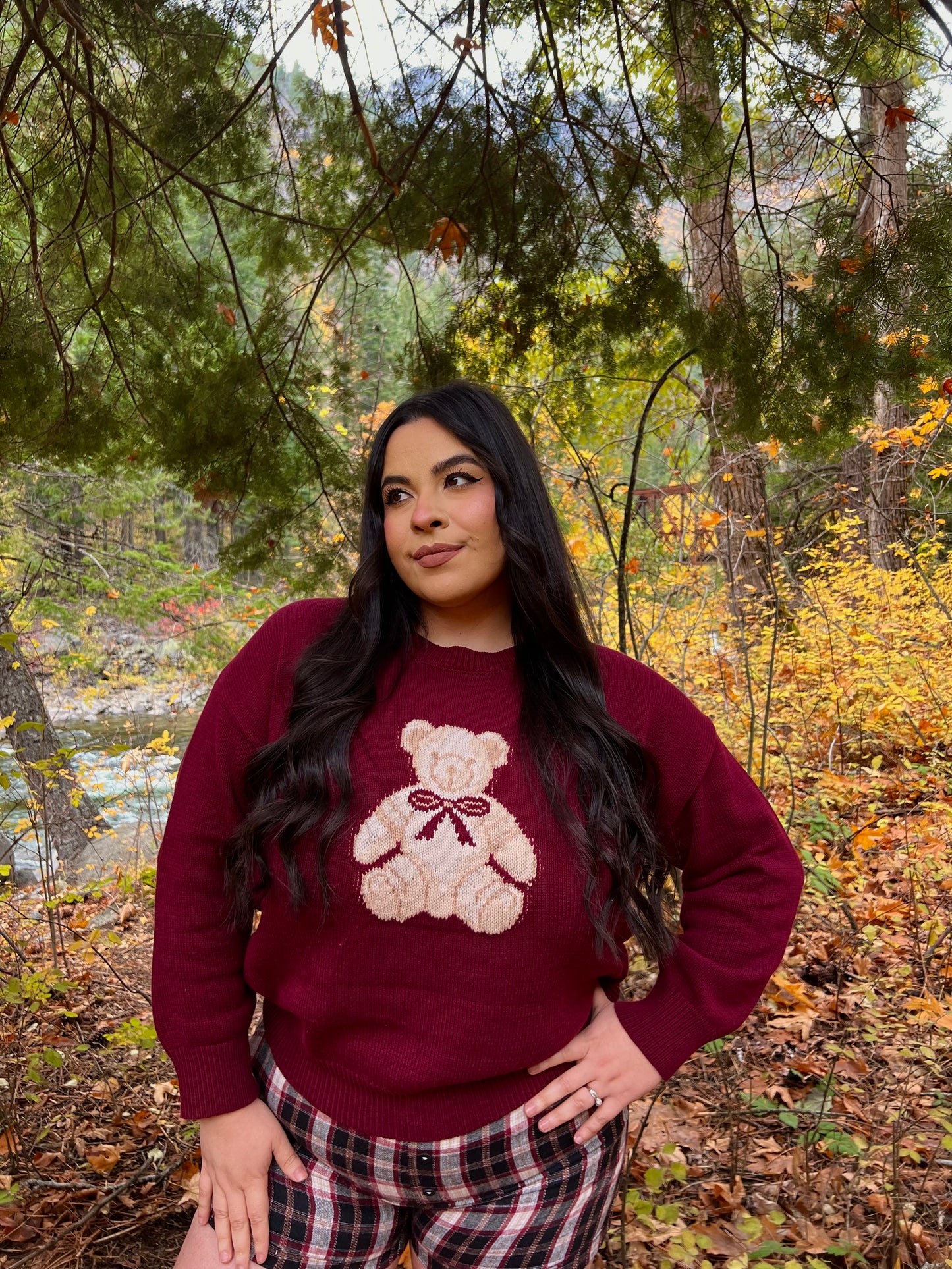 Teddy Graham Sweater